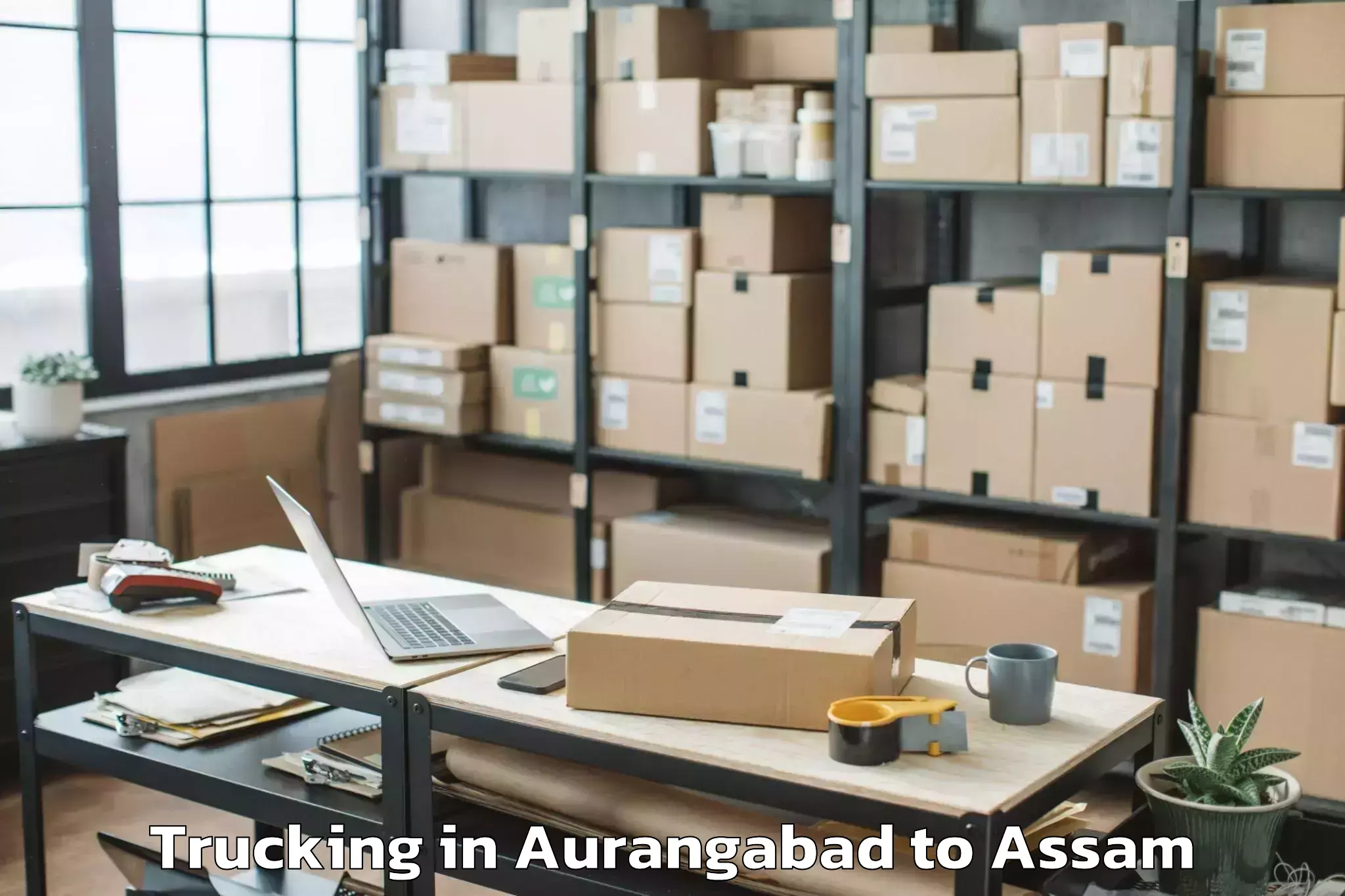 Book Aurangabad to Biswanath Chariali Trucking Online